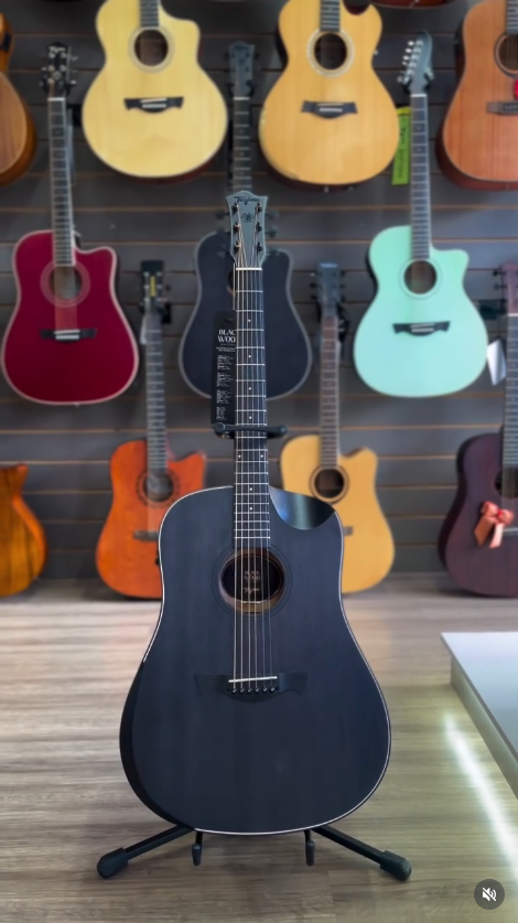 Violão Elétrico Tagima Okoume TBW300 BK
