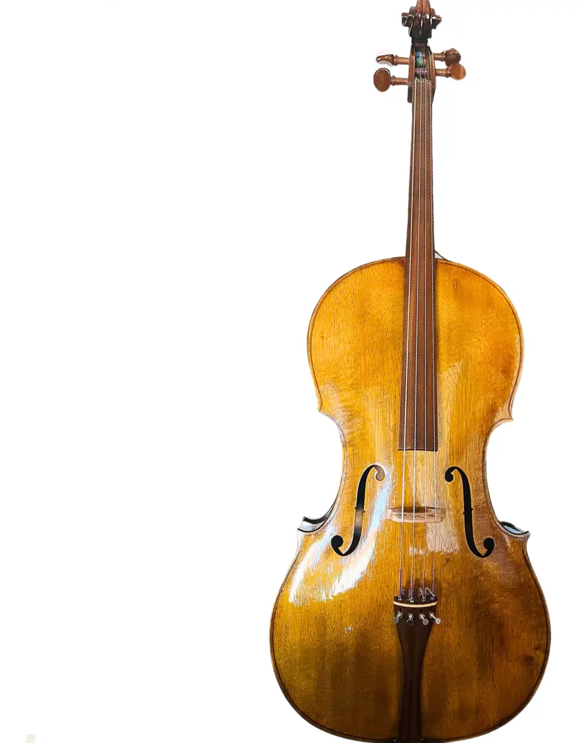 Violoncello Rolim Milor Envelhecido Brilho