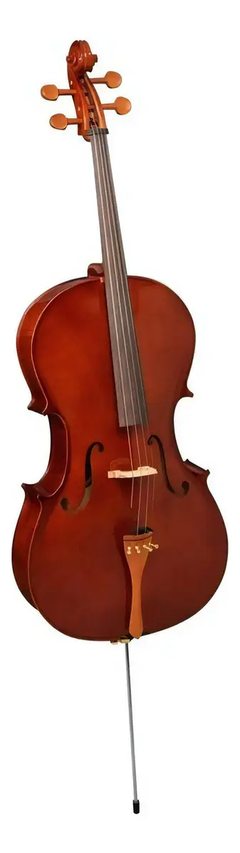 Violoncelo Hofma Hce 101 4/4