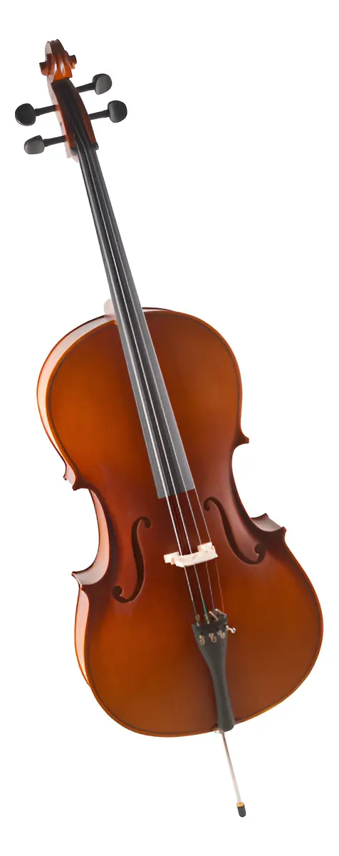 Violoncelo Hoyden 4/4 Che44n Nat Fosco